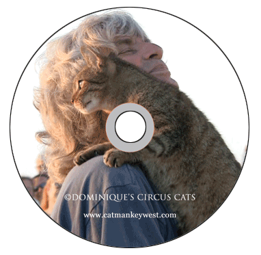 Catman DVD