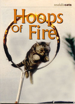 Cats Magazine- "Hoops of Fire"