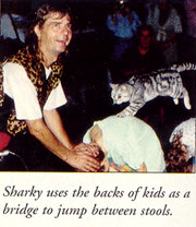 Sharky on Kids' Backs